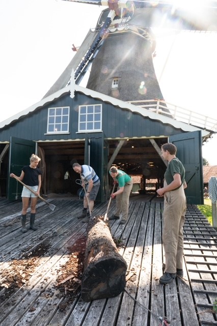 gebaar Gelijkmatig vasthoudend Hout te koop! - Bolwerksmolen te Deventer